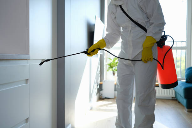 Best Affordable Mold Removal  in Long Branch, NJ