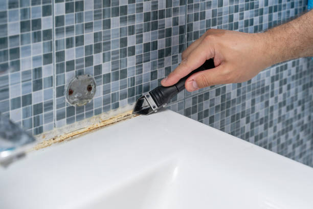 Best Mold Removal Near Me  in Long Branch, NJ