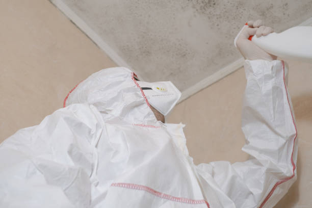 Best Emergency Mold Removal  in Long Branch, NJ